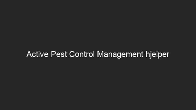 Active Pest Control Management hjelper Sydney-huseiere med å håndtere skadedyr i boliger og kommersielle virksomheter effektivt og pålitelig