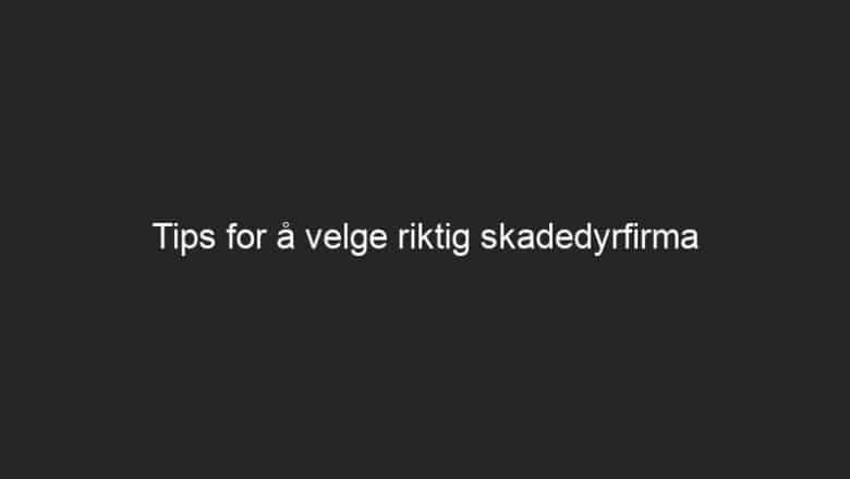 Tips for å velge riktig skadedyrfirma